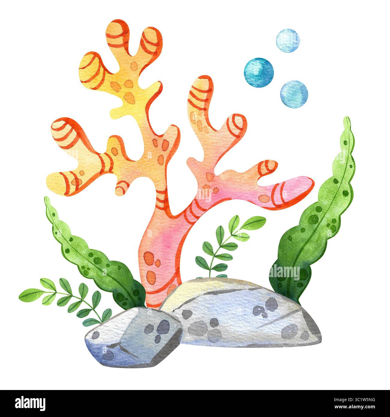 Ensemble de coraux aquarelles et d'algues. Plantes sous-marines, laminaires. Illustration de la flore marine. Aquarium dessiné à la main et vie océanique Banque D'Images