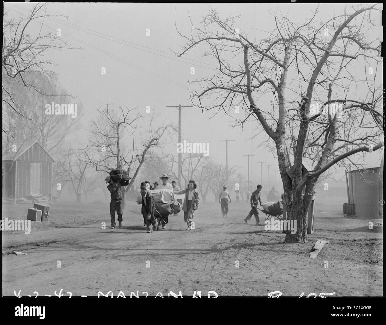 : Manzanar Relocation Center, Manzanar, Californie. Les nouveaux arrivants déménagent à Manzanar, un centre d'auteur de relocalisation de guerre pour les évacués d'ascendance japonaise. Banque D'Images