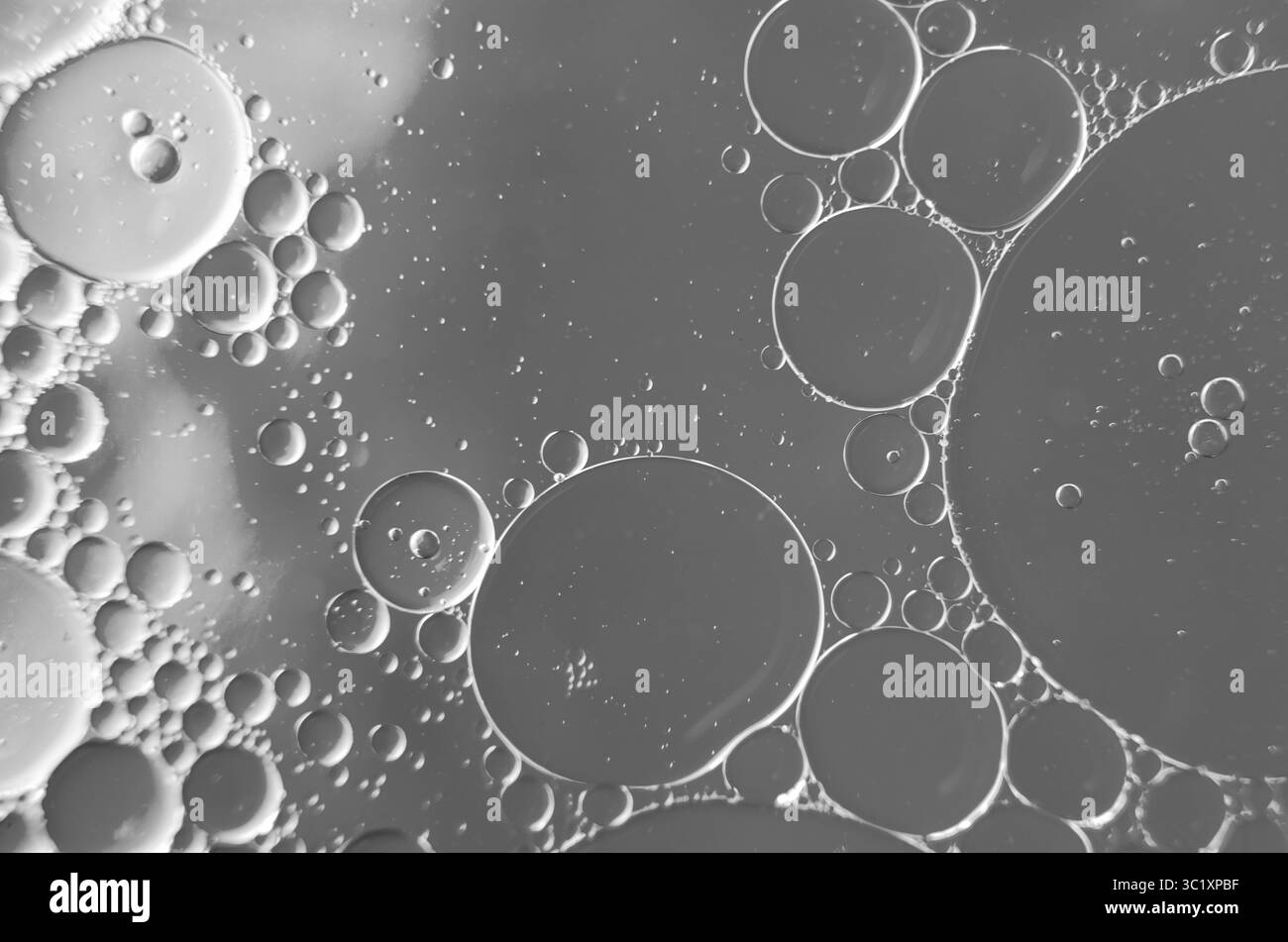 Gros plan d'huile sur l'eau, reflétant un fond noir et blanc subtil. Banque D'Images