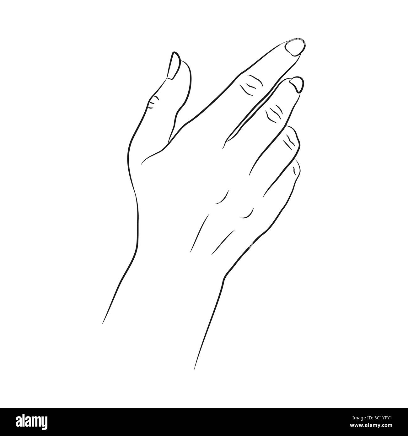 Contour de la main humaine dans un geste de portée élégante. Main féminine dessinée à la main. Illustration vectorielle Illustration de Vecteur