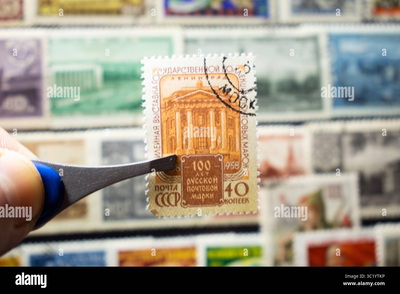 Gros plan d'un homme tenant un timbre-poste avec une pince à épiler Banque D'Images