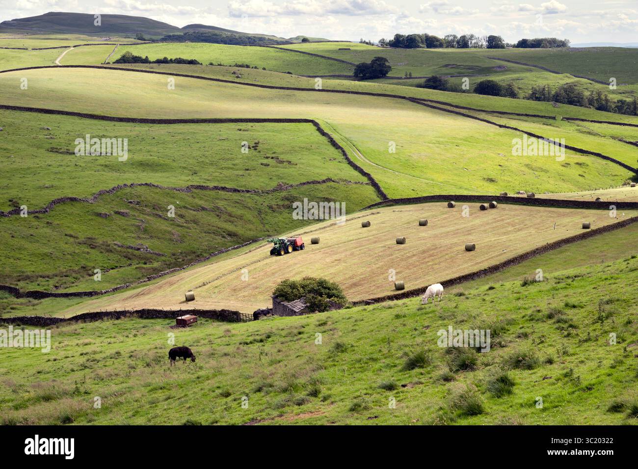 Temps de fenaison près de Stainforth dans le Yorkshire Dales National Park, Royaume-Uni. Un tracteur et une ramasseuse-presse transforment l'herbe fauchée en balles rondes. Banque D'Images