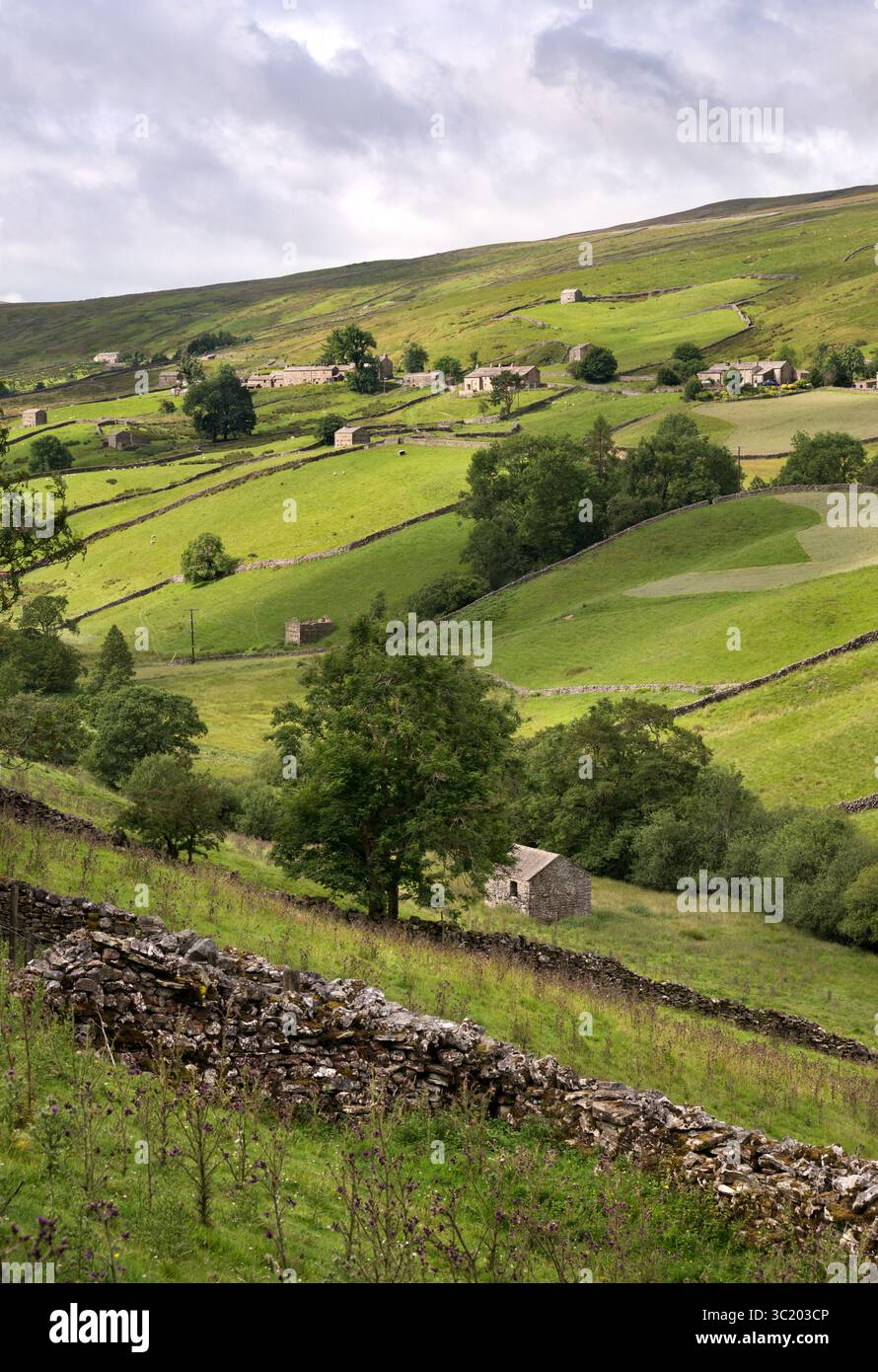 Upper Swaledale à Angram, Yorkshire Dales National Park, Royaume-Uni, avec des caractéristiques de Dales, des granges de champ, des fermes et des murs en pierre sèche. Banque D'Images