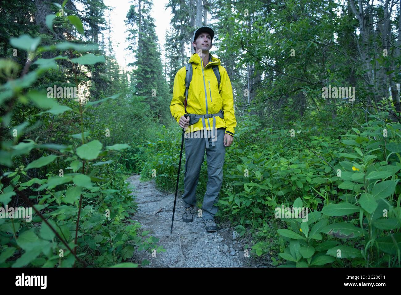 Randonneur masculin debout sur le sentier de la forêt rocheuse en veste de pluie jaune avec sac à dos, bottes, bâton de trekking Banque D'Images