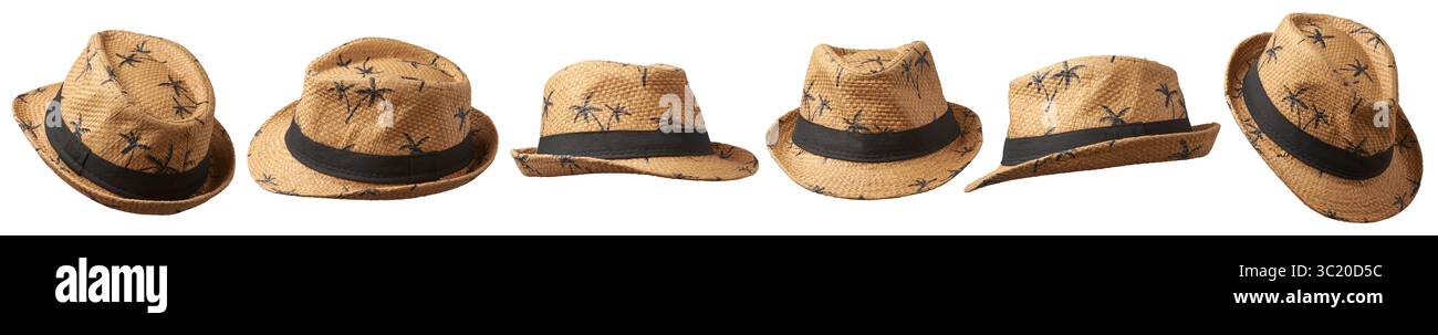 ensemble de chapeau de fedora tissé de couleur paille naturelle peint silhouettes noires de palmiers et bande noire fond blanc isolé, vacances de plage tropicale Banque D'Images