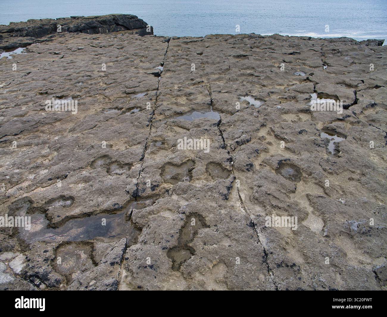 La chaussée calcaire altérée s'étend vers l'océan, créant une scène géologique saisissante à Burren, en Irlande. Banque D'Images