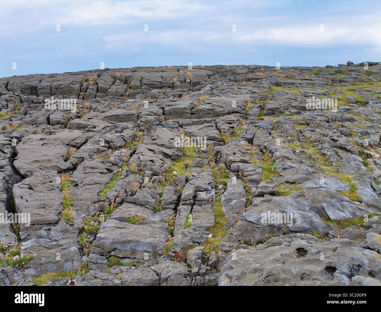 Pavé de calcaire accidenté de Burren, Irlande, avec des fissures et des crevasses remplies de fleurs sauvages sous un ciel nuageux. Banque D'Images