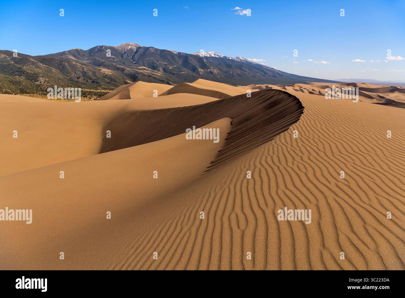 Vagues de sable - Une vue panoramique printanière en soirée sur les vagues de sable et les dunes de sable ondulantes, avec Mt. Zwischen de Sangre de Cristo Range imposante en arrière-plan. Banque D'Images