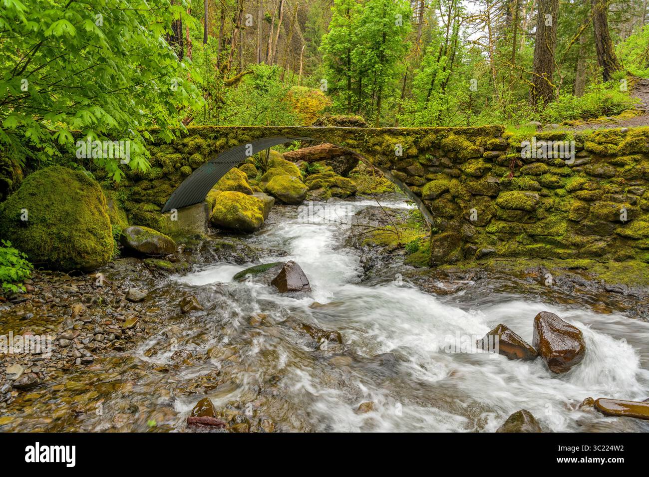 Stone Bridge - Une vue de printemps orageuse d'un petit pont de pierre sur le ruisseau Multnomah au sommet des chutes Multnomah. Columbia River gorge, Oregon, Banque D'Images