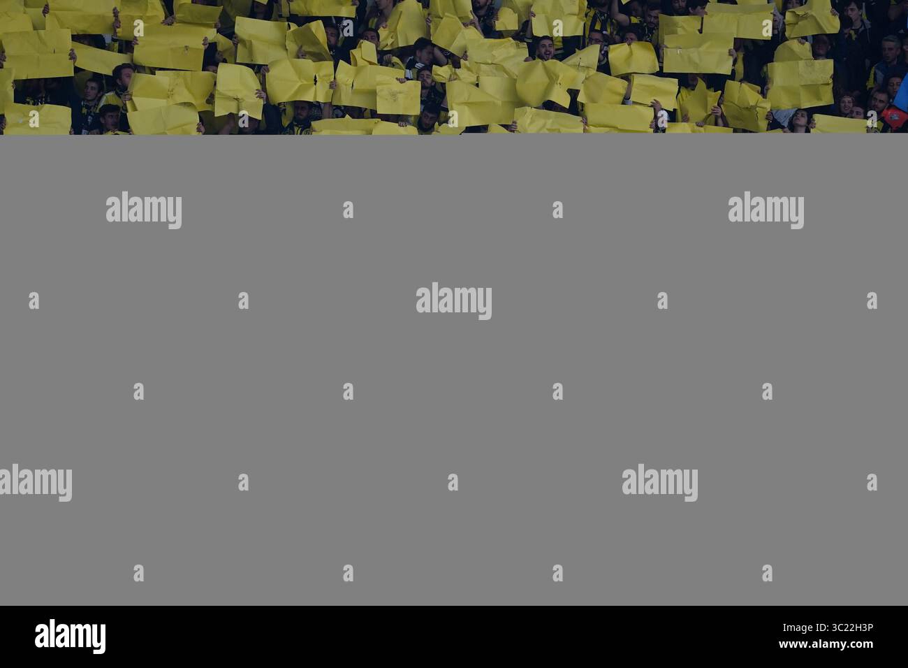 14 avril 2019 : les fans de Fenerbache avant le match turc Super Lig entre Fenerbache et Galatasaray au stade ÅžÃ¼krÃ¼ SaracoÄŸlu à Istanbul, Turquie. Ulrik Pedersen/CSM.(image de crédit : &copy ; Ulrik Pedersen/CSM via ZUMA Wire) Banque D'Images