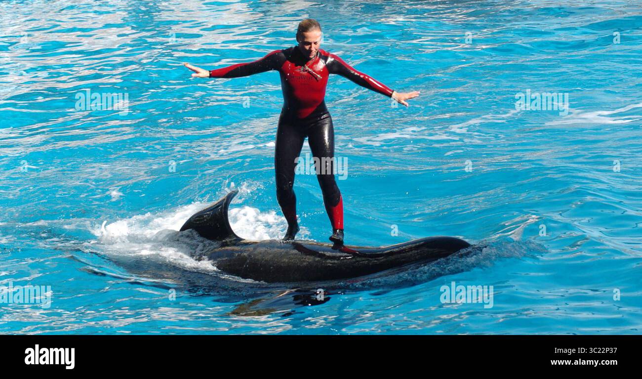30 décembre 2005 - Orlando, FL, États-Unis - Dawn Brancheau, entraîneur de baleines au SeaWorld Adventure Park, présenté le 30 décembre 2005, a été tué dans un accident avec un orque au SeaWorld Shamu Stadium le 24 février 2010. (Crédit image : © TNS via ZUMA Wire) Banque D'Images 30 décembre 2005 - Orlando, FL, États-Unis - Dawn Brancheau, entraîneur de baleines au SeaWorld Adventure Park, présenté le 30 décembre 2005, a été tué dans un accident avec un orque au SeaWorld Shamu Stadium le 24 février 2010. (Crédit image : © TNS via ZUMA Wire) Banque D'Images