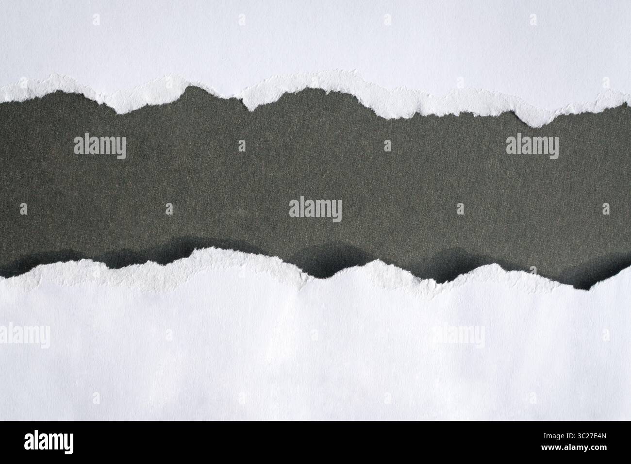 Papier blanc déchiré en deux laissant un espace au centre, sur fond noir. Copier l'espace. Banque D'Images