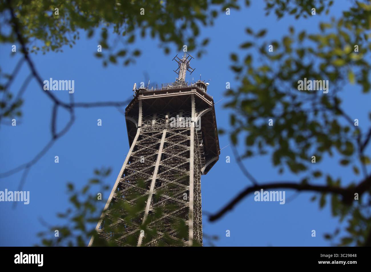 Tour eiffel paris Banque D'Images