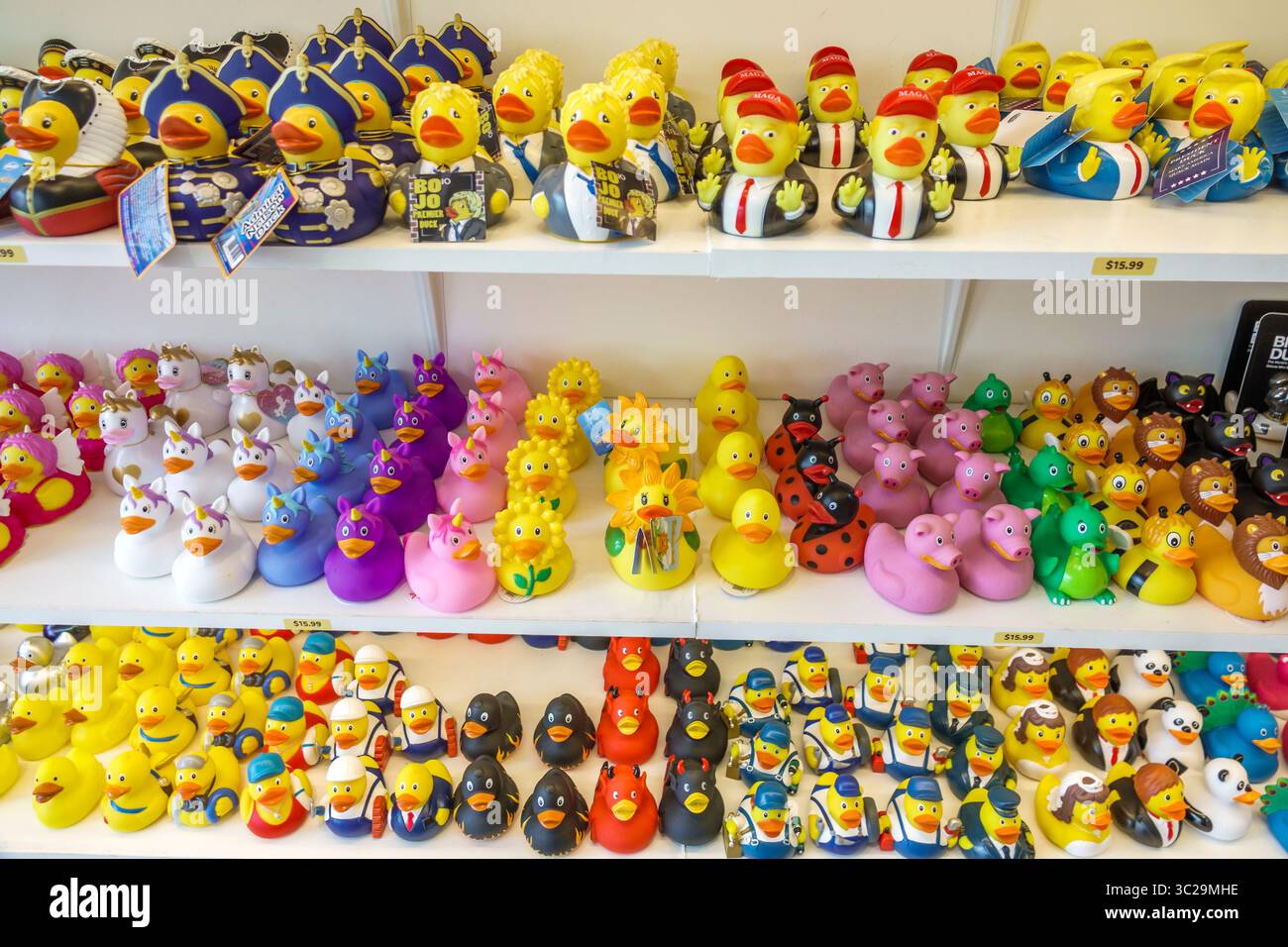 Miami Beach Floride, Washington Avenue, magasin de cadeaux de nouveauté Duck World, affichage de figurines de canard en caoutchouc de collection, variété de canards en caoutchouc à thème, Trump ma Banque D'Images