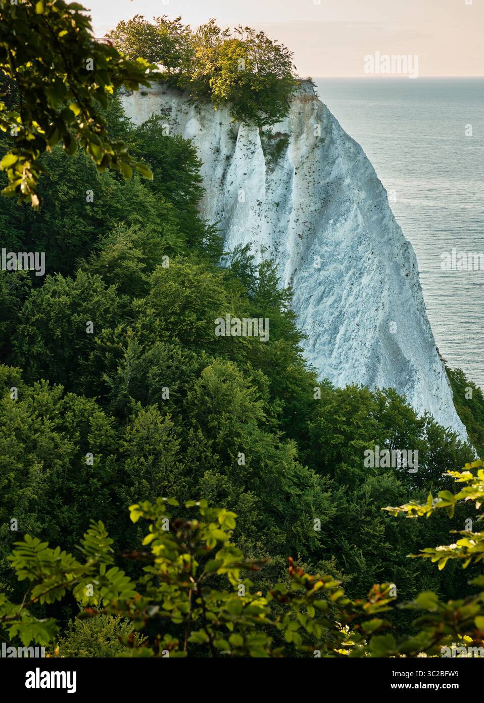 8 juillet 2025 - Parc National de Jasmund-Allemagne : touristes sur le célèbre point de vue de la falaise de craie de Kings chair au-dessus de la forêt de hêtres verts et le coa de la mer Baltique Banque D'Images