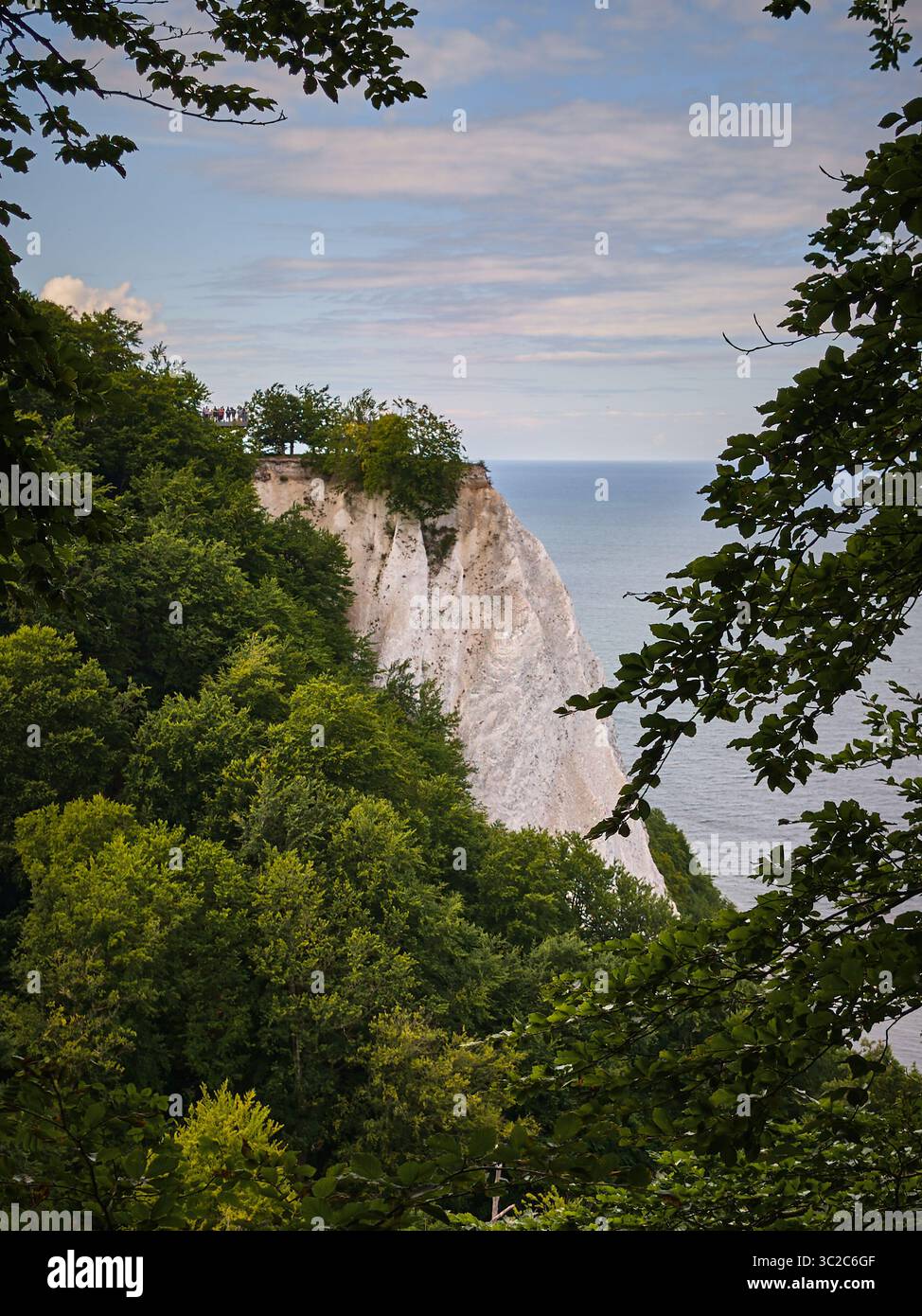 8 juillet 2025 - Parc National de Jasmund-Allemagne : touristes sur le célèbre point de vue de la falaise de craie de Kings chair au-dessus de la forêt de hêtres verts et le coa de la mer Baltique Banque D'Images