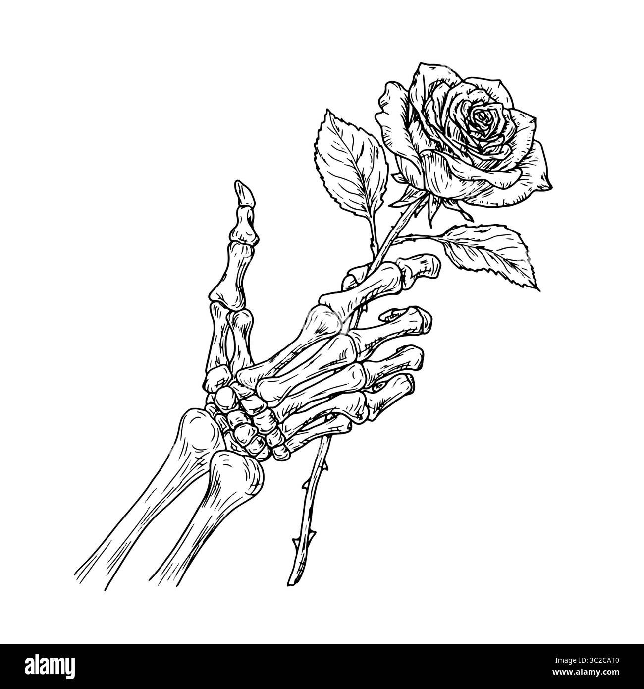 La main du squelette tient une rose élégante, croquis noir et blanc. Illustration vectorielle. Main et fleurs d'un homme mort, isolées sur fond blanc. Pour Illustration de Vecteur