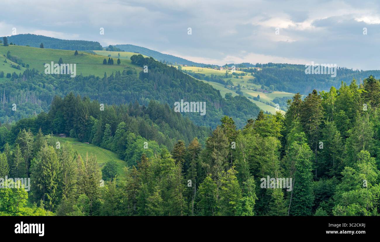 Impression idyllique autour de Schönau dans la Forêt Noire, une ville dans le district de Lörrach dans le Bade-Württemberg, Allemagne Banque D'Images