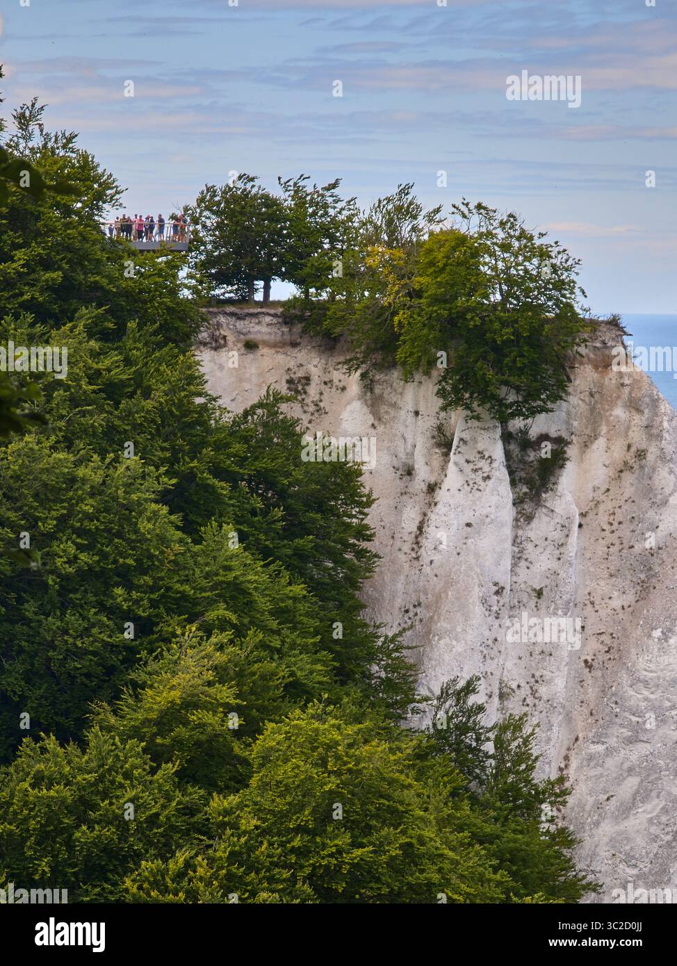 8 juillet 2025 - Parc National de Jasmund-Allemagne : touristes sur le célèbre point de vue de la falaise de craie de Kings chair au-dessus de la forêt de hêtres verts et le coa de la mer Baltique Banque D'Images