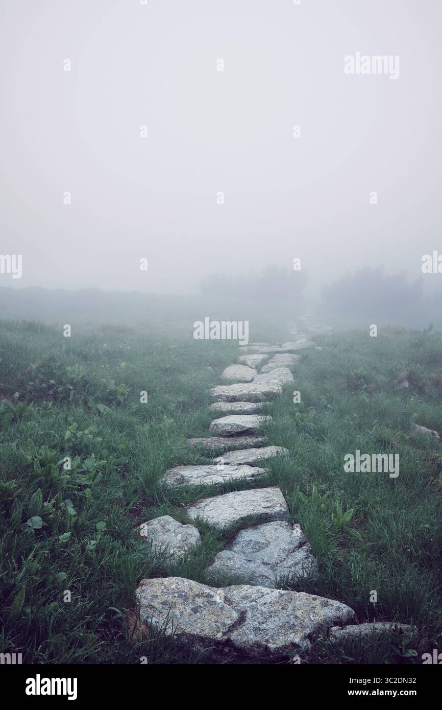 Sentier de montagne cinématographique disparaissant dans un épais brouillard. Chemin de pierre, herbe humide et lumière douce créent une scène naturelle mystérieuse et sombre. Banque D'Images