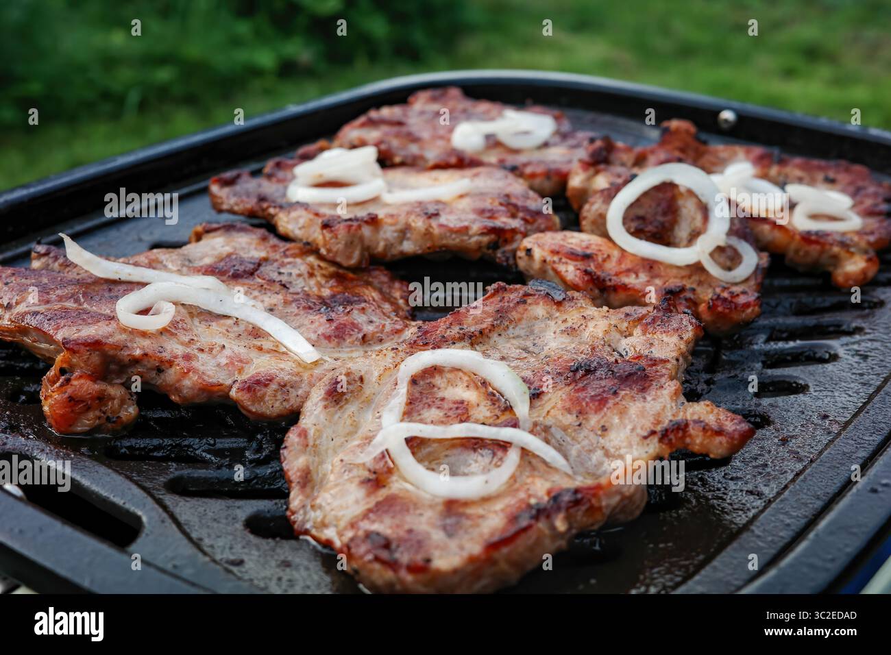 Une assiette de viande avec des oignons sur le dessus. La viande est cuite et a une belle couleur brune Banque D'Images