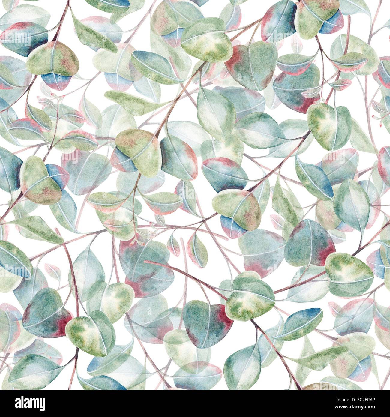 Motif d'eucalyptus sans couture, brindilles avec des feuilles, branches d'aquarelle dessinées à la main isolées sur blanc. Motif botanique pour l'emballage, l'impression Banque D'Images