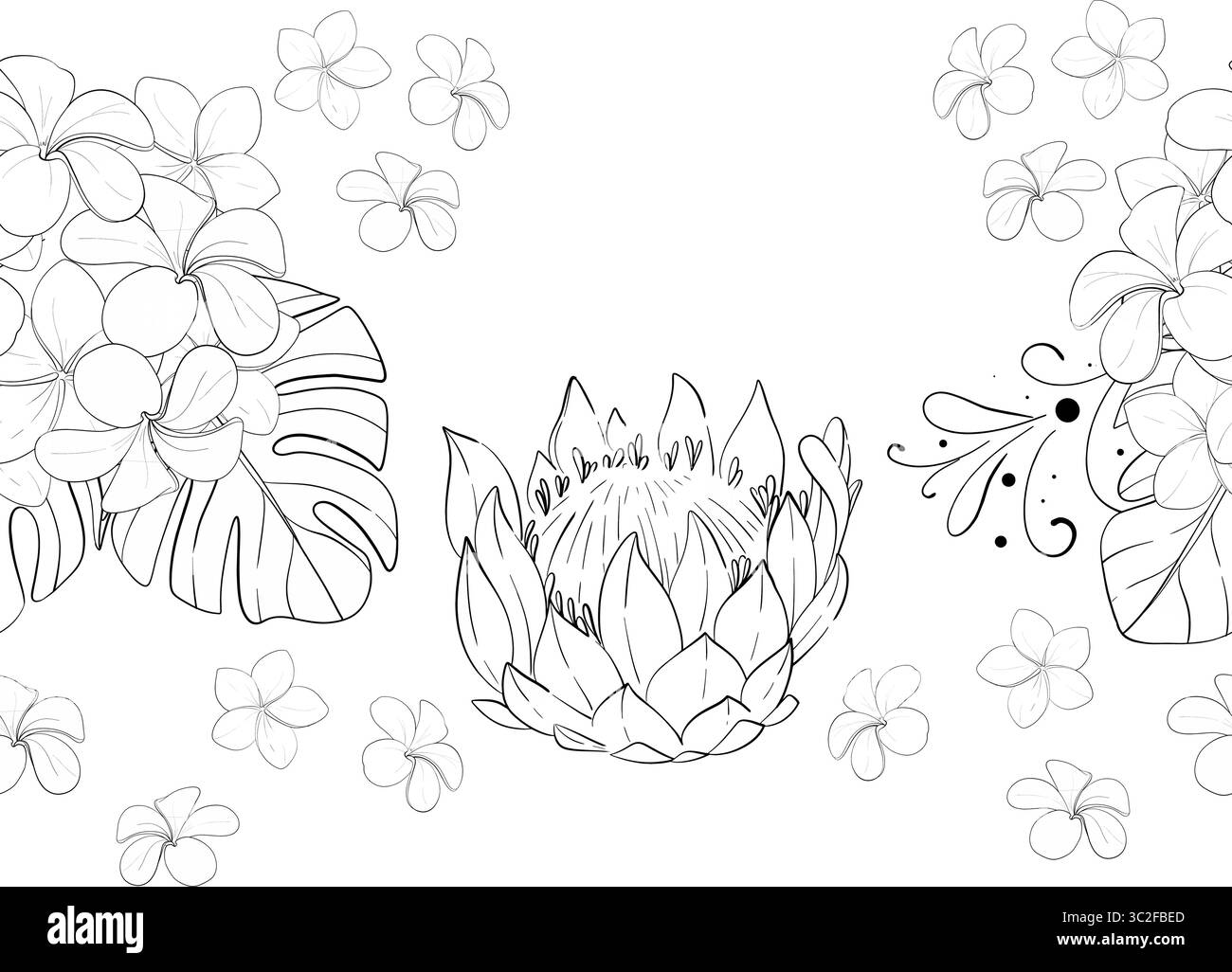 Bordure sans couture botanique exotique de vecteur, motif. Fleurs tropicales protéas et ornement plumeria. Graphique dessiné à la main. Silhouette de circuit noir Illustration de Vecteur Bordure sans couture botanique exotique de vecteur, motif. Fleurs tropicales protéas et ornement plumeria. Graphique dessiné à la main. Silhouette de circuit noir Illustration de Vecteur