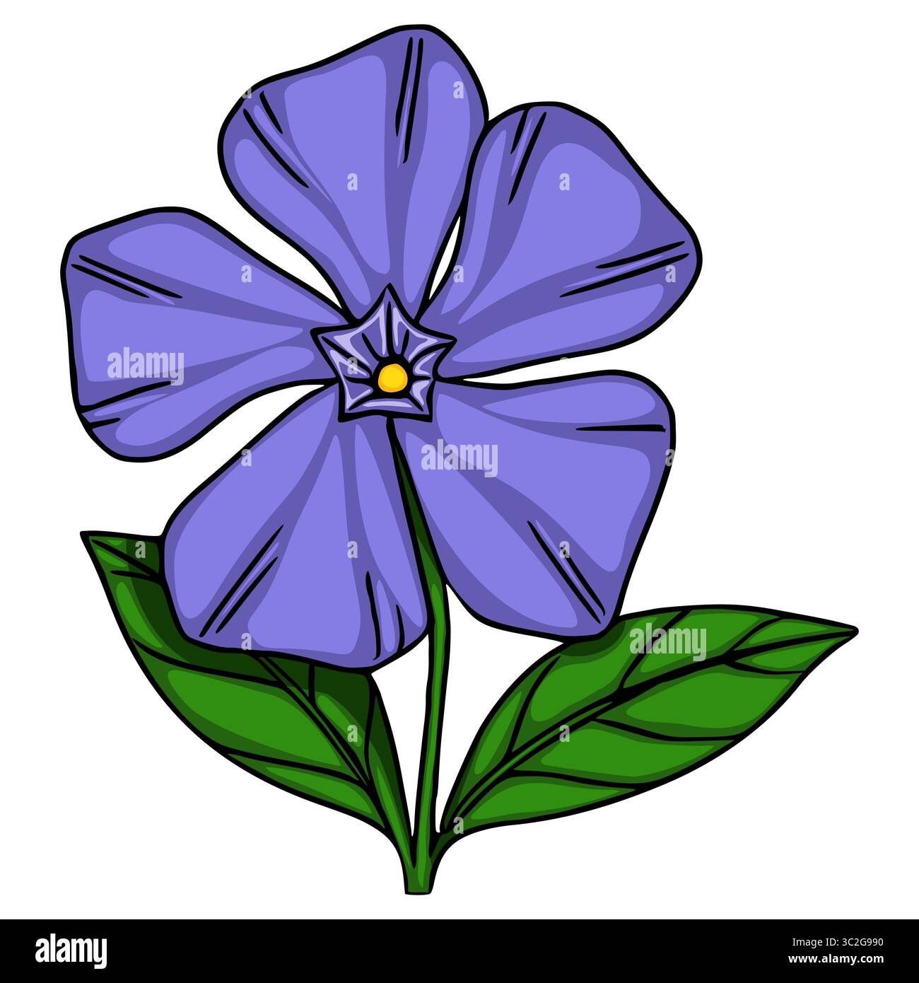 Illustration vectorielle d'une fleur de pervenche stylisée avec des pétales violets vibrants et des feuilles vert foncé, mettant en valeur une esthétique unique dessinée à la main. Illustration de Vecteur