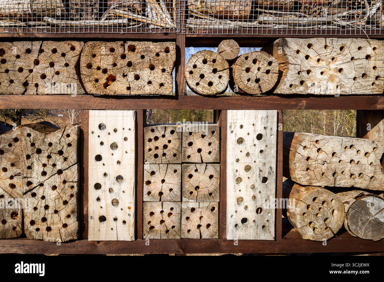 Gros plan de l'hôtel d'insectes : nichoir en bois pour les insectes sauvages. Un hôtel d'insectes est une structure créée par l'homme pour fournir un abri aux insectes dans un variet Banque D'Images