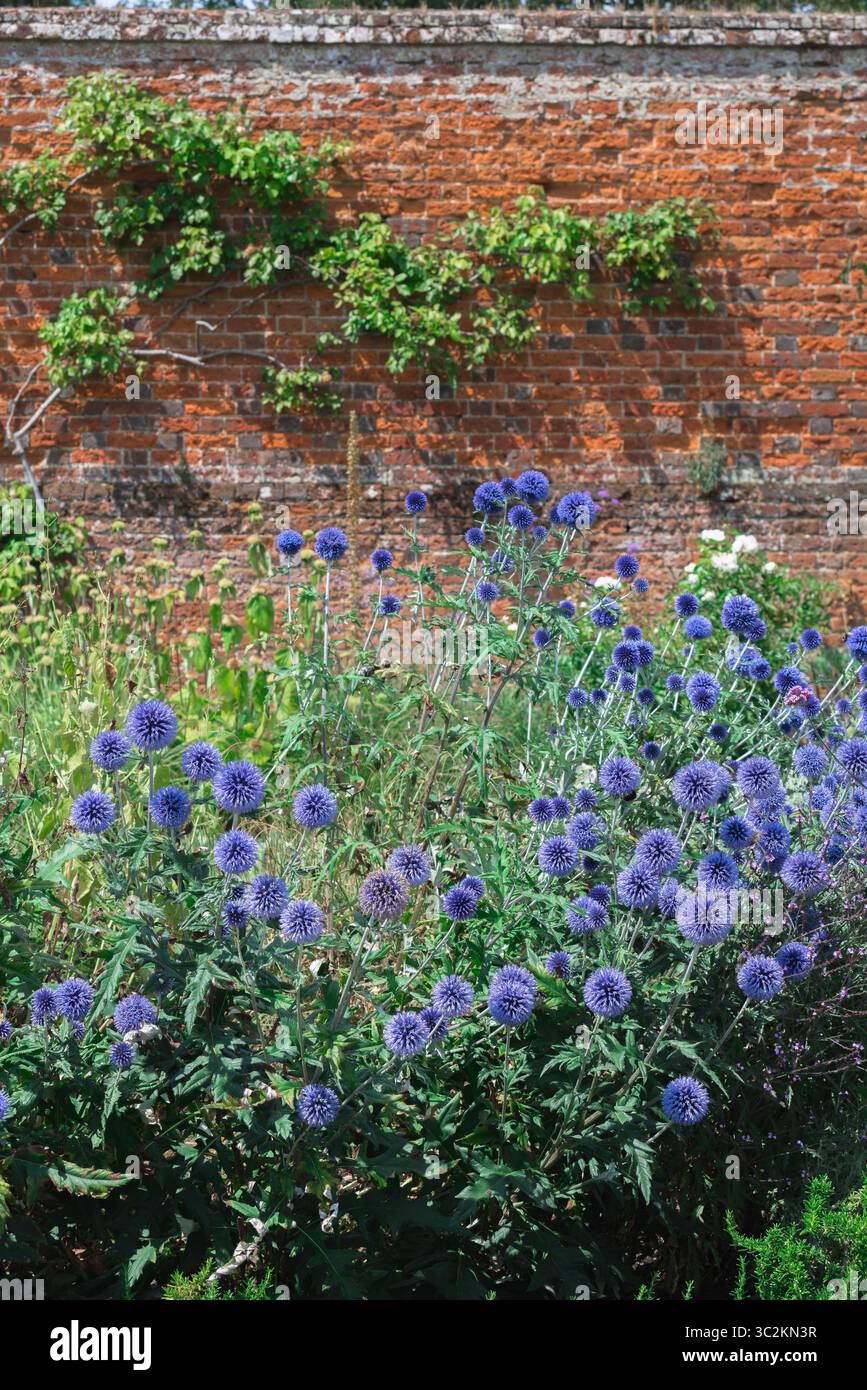 Jardin clos UK, vue en été d'une section du jardin clos vintage dans Markshall Estate, Coggeshall, Essex, Angleterre, Royaume-Uni. Banque D'Images