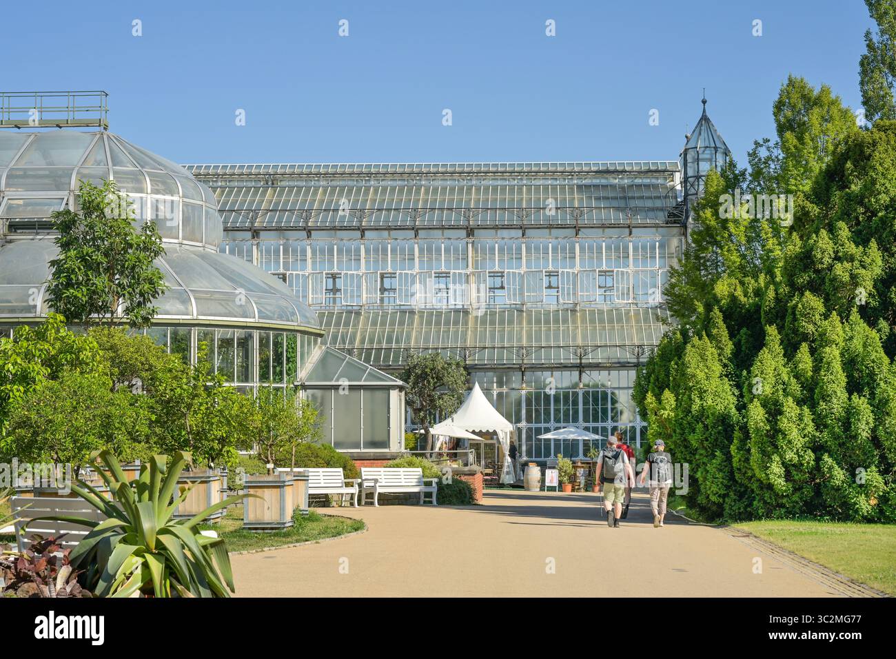 Gewächshäuser, hinten das Mittelmeerhaus, Botanischer Garten, Lichterfelde, Steglitz-Zehlendorf, Berlin, Deutschland Banque D'Images