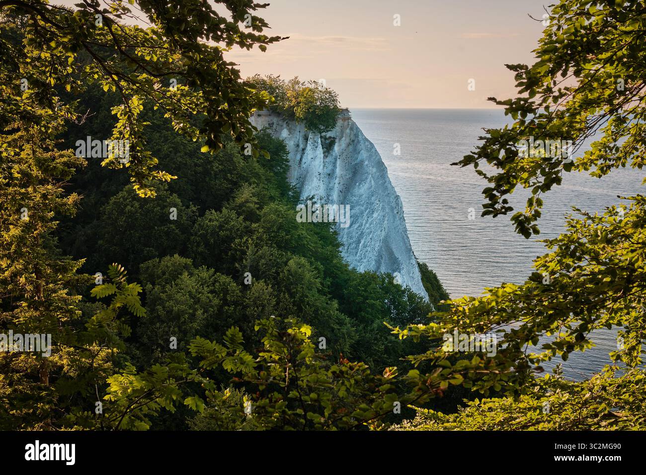 8 juillet 2025 - Parc National de Jasmund-Allemagne : touristes sur le célèbre point de vue de la falaise de craie de Kings chair au-dessus de la forêt de hêtres verts et le coa de la mer Baltique Banque D'Images