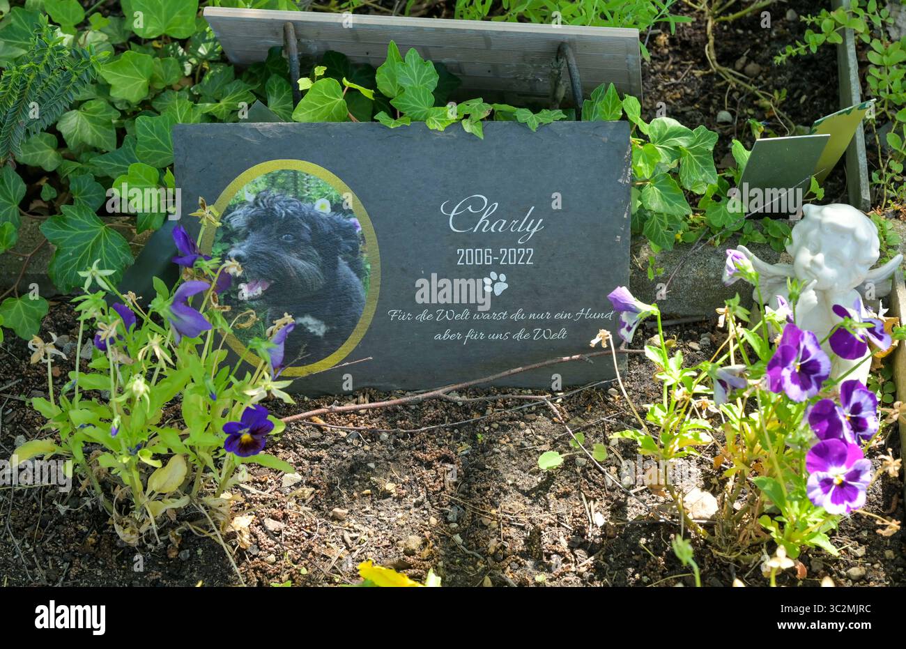 Tierfriedhof Berlin, Falkenberg, Bezirk Lichtenberg, Berlin, Deutschland Banque D'Images