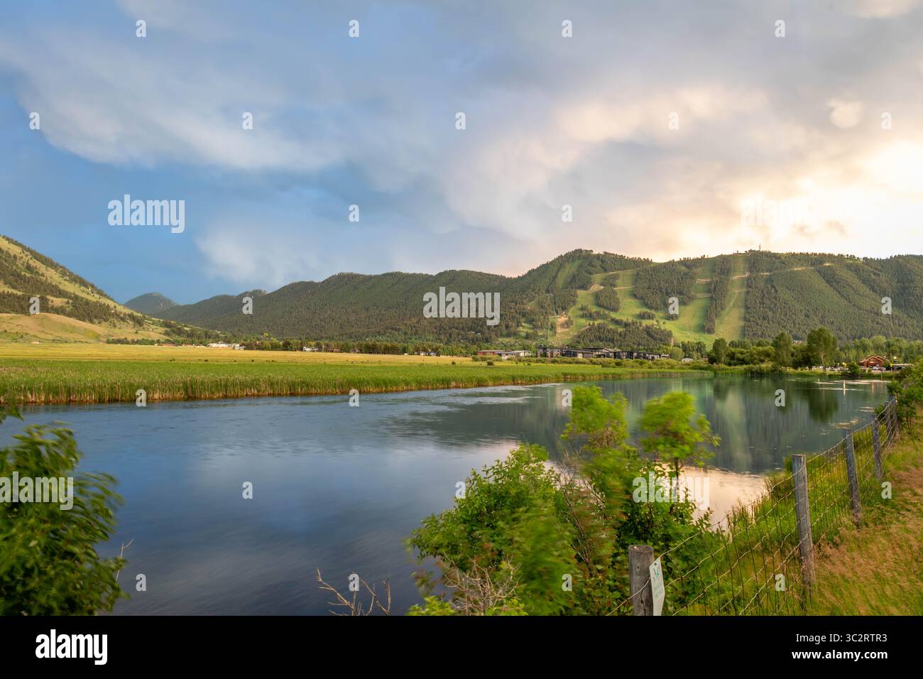 National Elk Refuge, Jackson Hole, Wyoming Banque D'Images