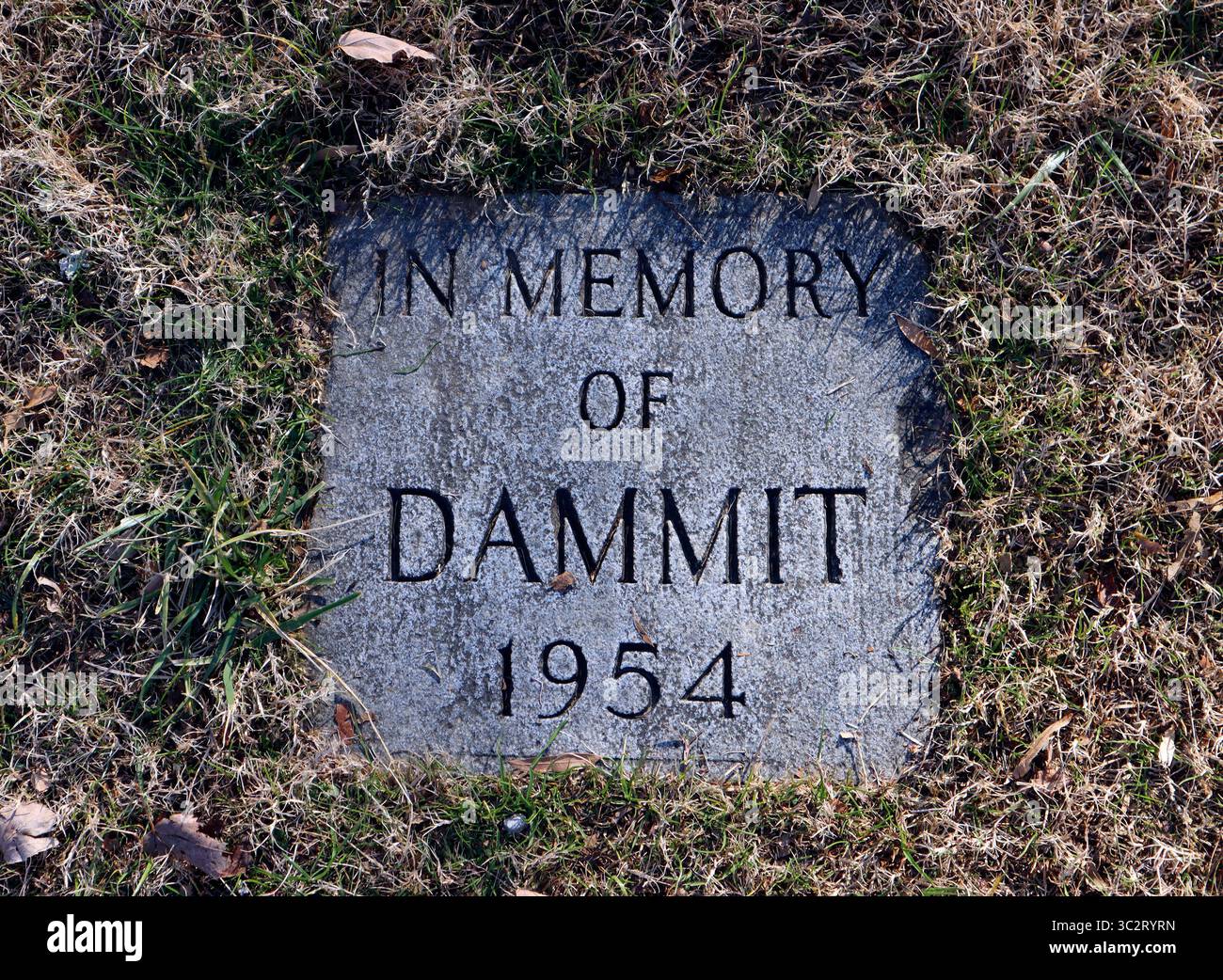 L'hommage original de Cookeville à "Dammit the Dog" comporte une minuscule tombe à côté d'une bouche d'incendie rouge - un favori local décalé. Banque D'Images