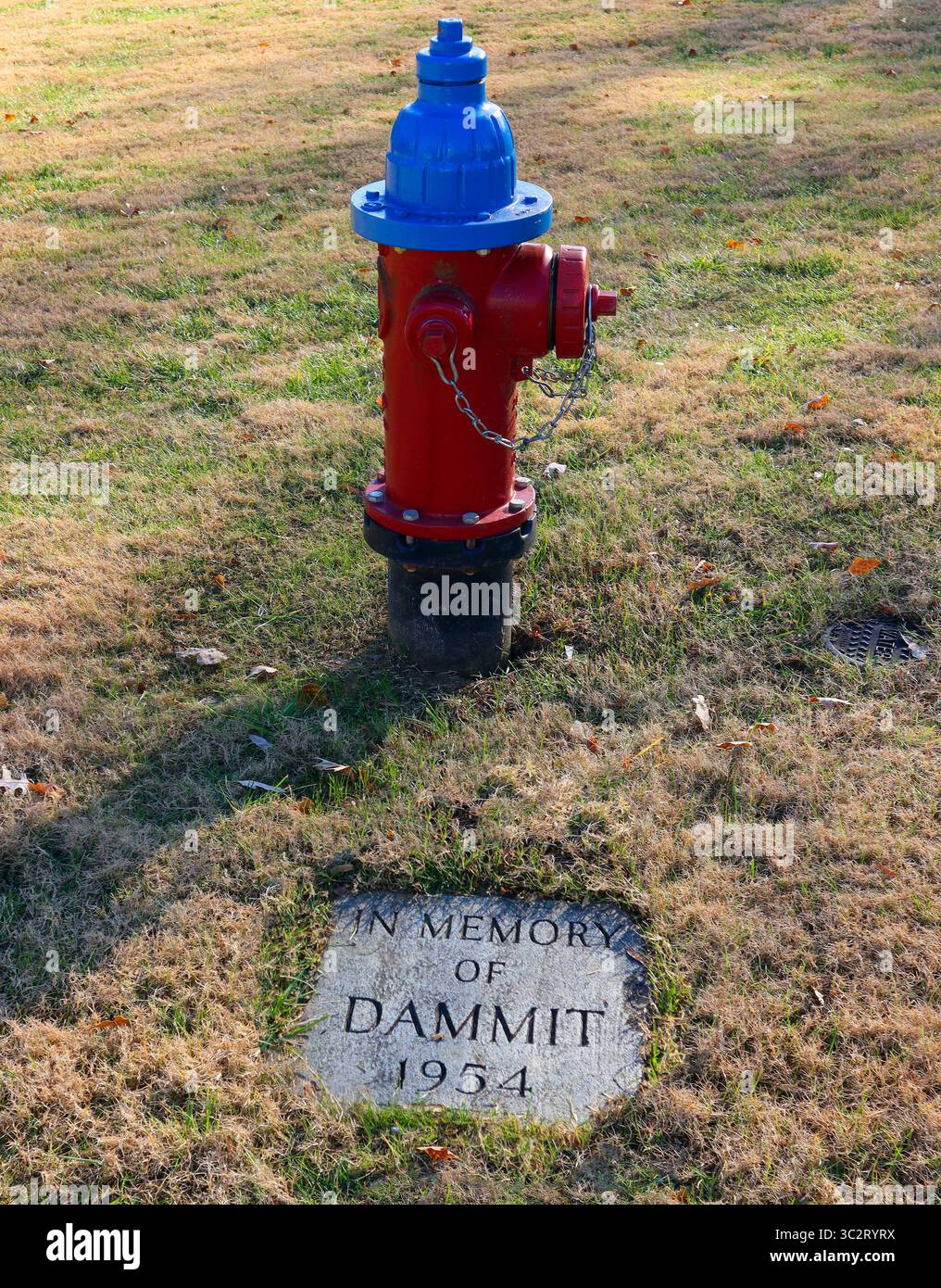 L'hommage original de Cookeville à "Dammit the Dog" comporte une minuscule tombe à côté d'une bouche d'incendie rouge - un favori local décalé. Banque D'Images