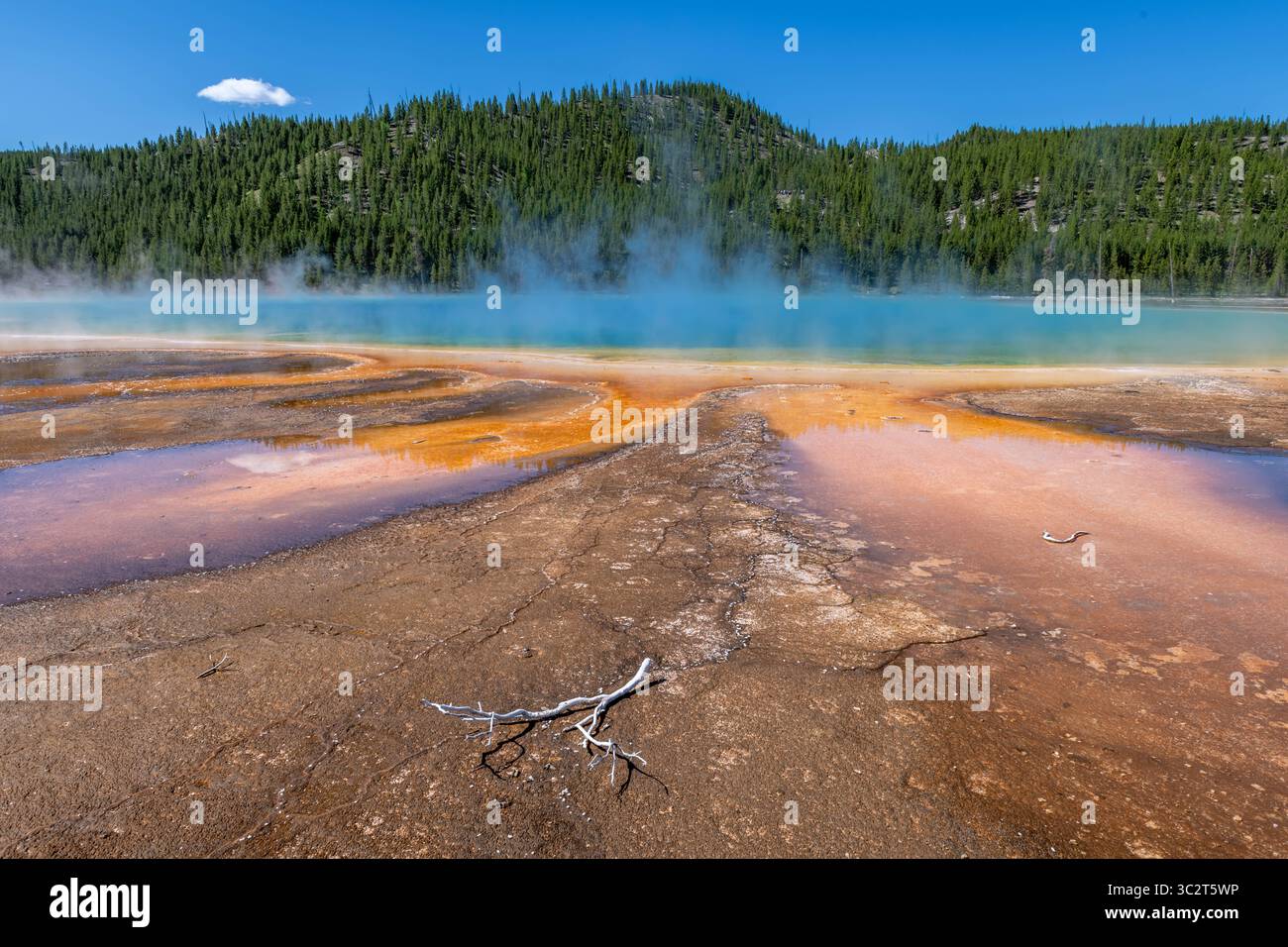 Grand Tetons Park, Wyoming Banque D'Images