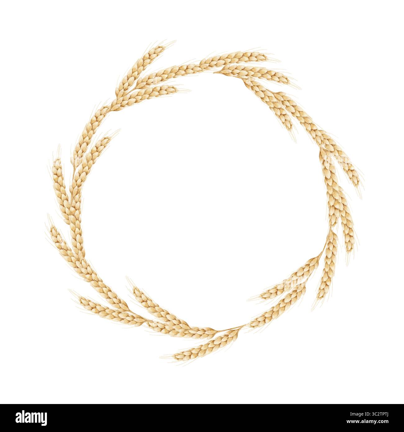 Couronne d'aquarelle faite d'oreilles de blé sur un fond blanc. Idéal pour l'emballage, les invitations, les affiches, les textiles et les conceptions rustiques de pays Banque D'Images