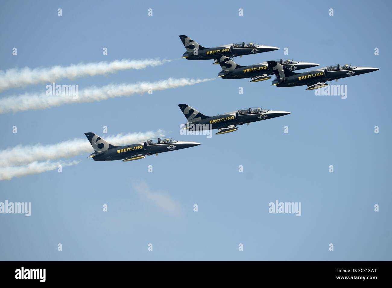 31 août 2019, Hradec Kralove, République Tchèque : Breitling Jet Acrobatic Team of France pendant le Czech International Air Fest à Hradec Kralove en République Tchèque... L'équipe Breitling Jet Team est la plus grande équipe civile d'exposition acrobatique en Europe. Basée à Dijon, en France, elle pilote huit avions tchèques Aero l-39 Albatros. (Crédit image : © Slavek Ruta/ZUMA Wire) Banque D'Images