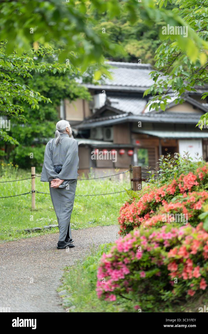 Homme âgé dans un kimono sur un chemin regardant une maison japonaise traditionnelle avec des fleurs d'azalée en fleurs. Kyoto, Japon. Banque D'Images