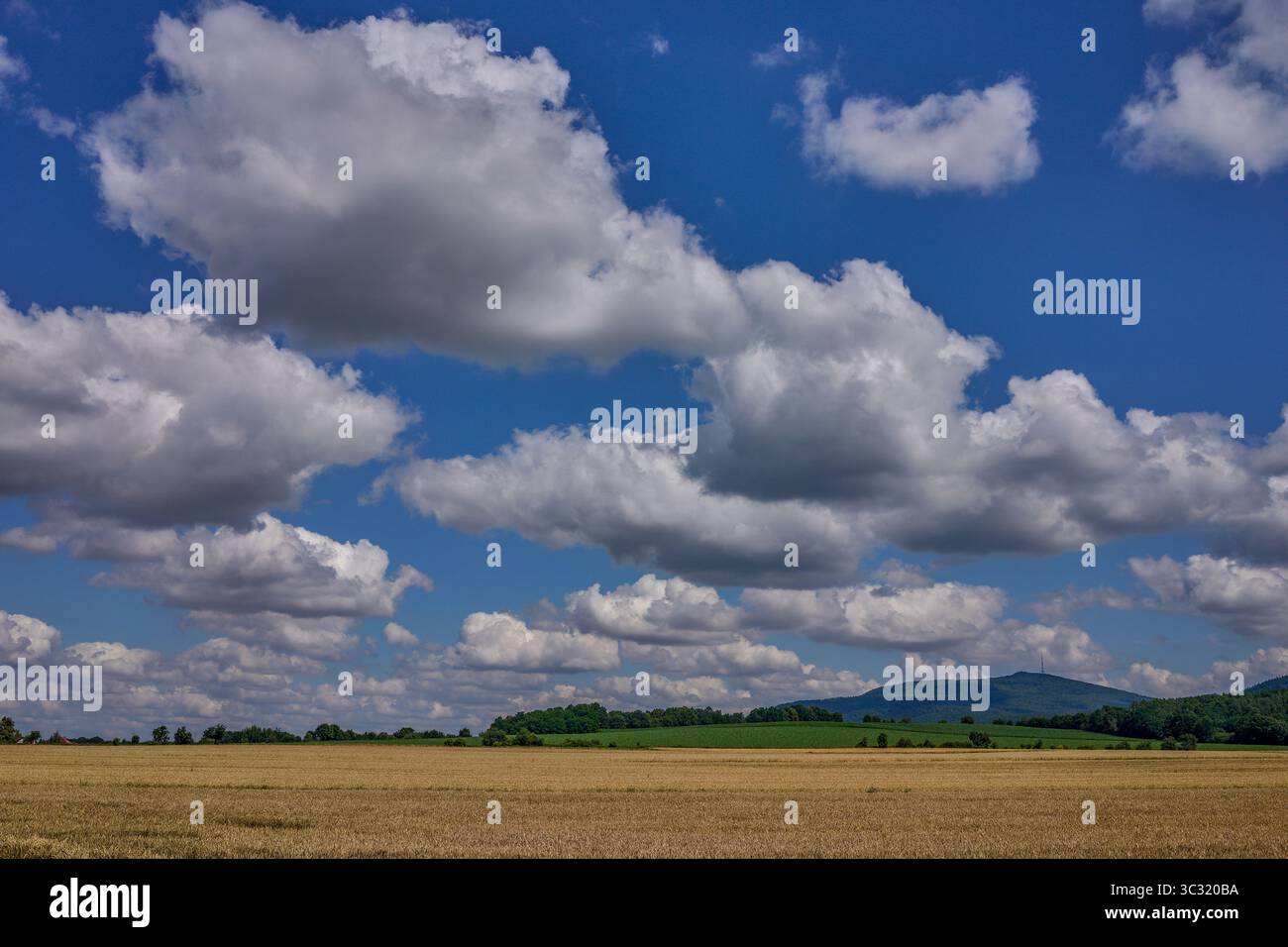 Paysage rural ensoleillé d'été inférieur de silésie avec ciel bleu, nuages et flield de grain de maturation Banque D'Images