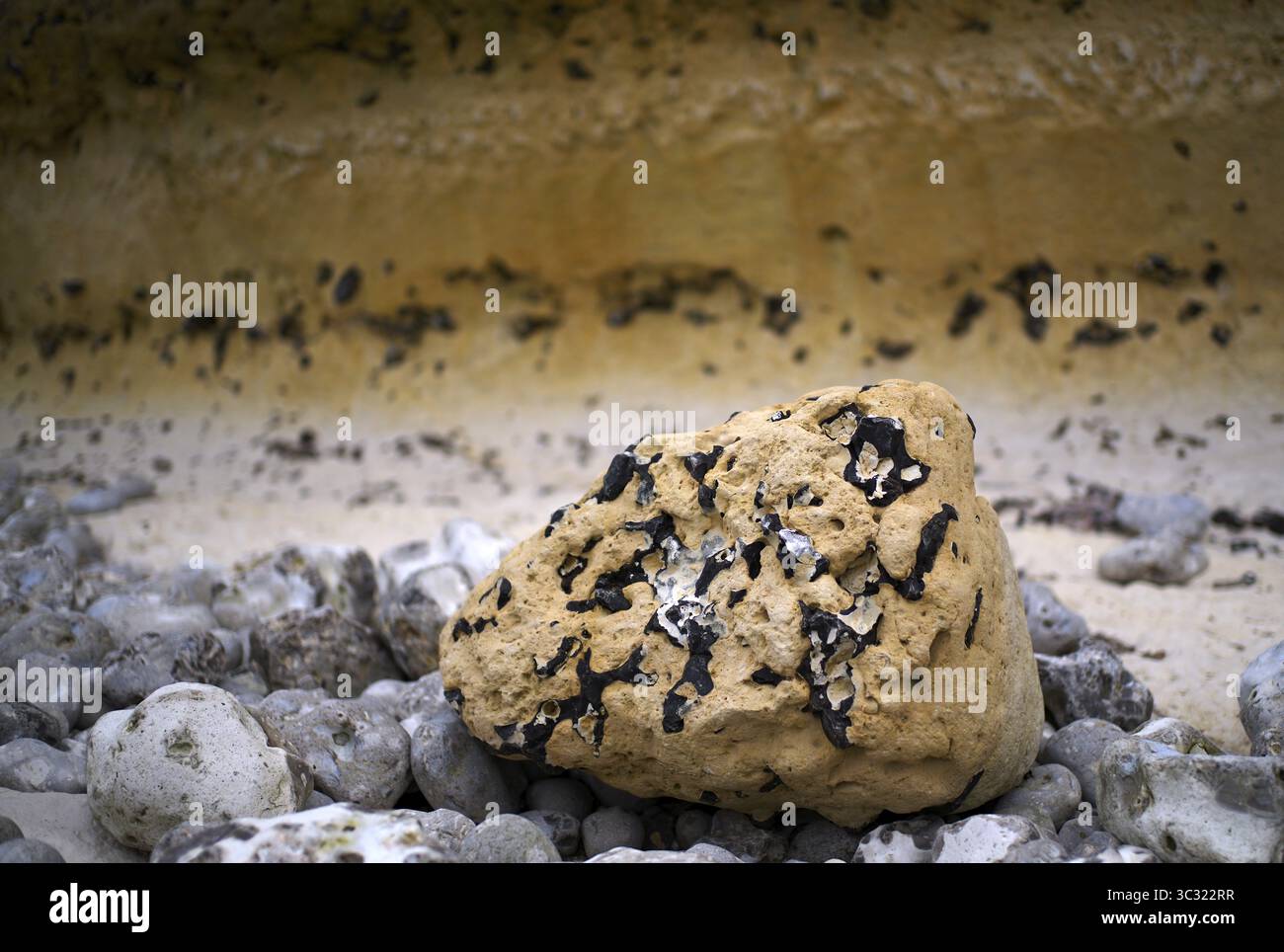 Formation rocheuse, roches, structures rocheuses géologiques, cailloux, cailloux, Yport, Côte d'Albâtre, la Côte d'Albatre, Normandie, Seine-maritime, France Banque D'Images