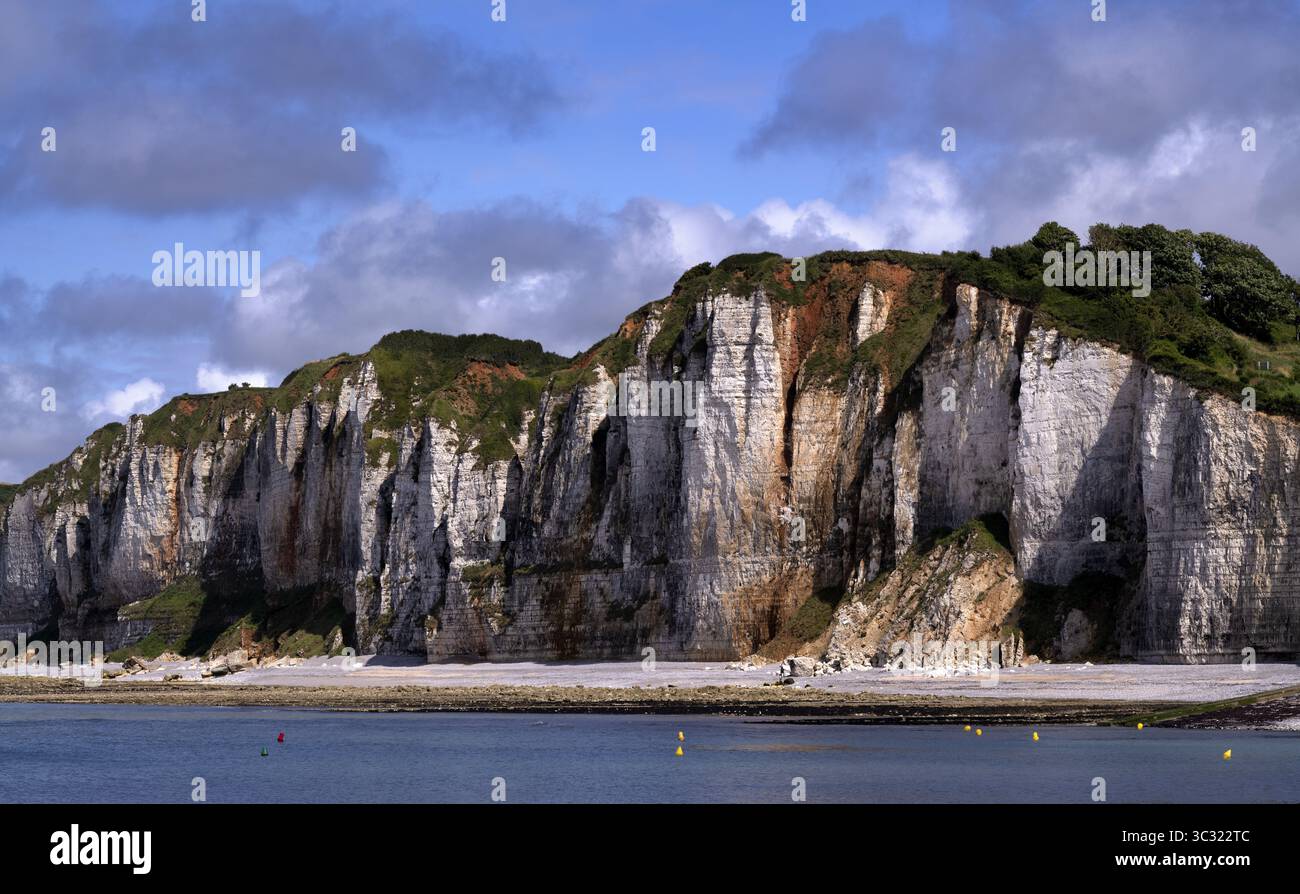 Falaise, falaises, paysage côtier, formation rocheuse, Yport, falaises de craie, côte d'albâtre, la Cote d'Albatre, Normandie, Seine-maritime, France Banque D'Images