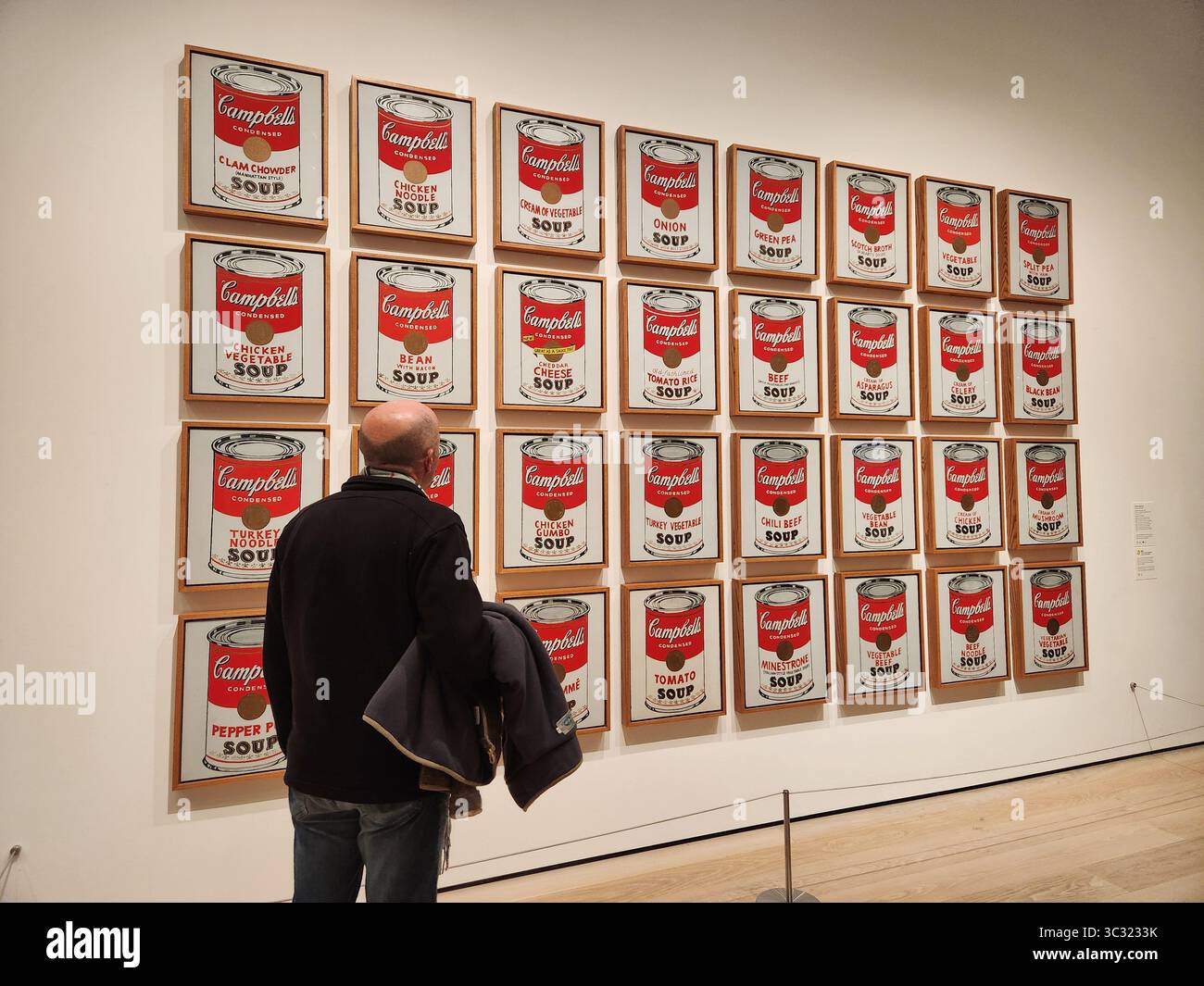 homme regardant un andy warhol au moma new york Banque D'Images
