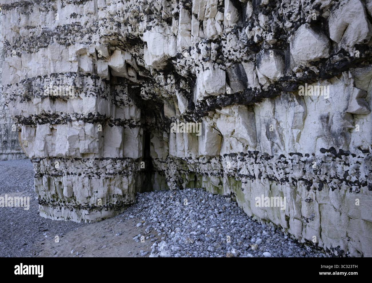 Gros plan, falaise, formation rocheuse, Yport, falaises de craie, côte d'albâtre, la Côte d'Albatre, Normandie, Seine-maritime, France Banque D'Images