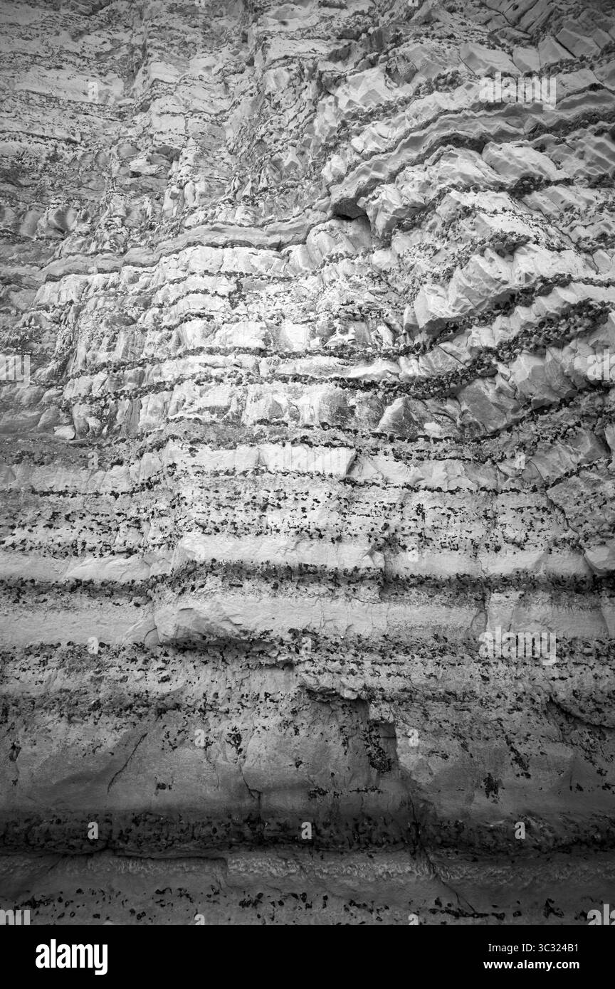 Falaise, falaises, paysage côtier, formation rocheuse, structures géologiques, noir et blanc, Yport, falaises de craie, côte d'albâtre, la Cote d'Albatre, N Banque D'Images