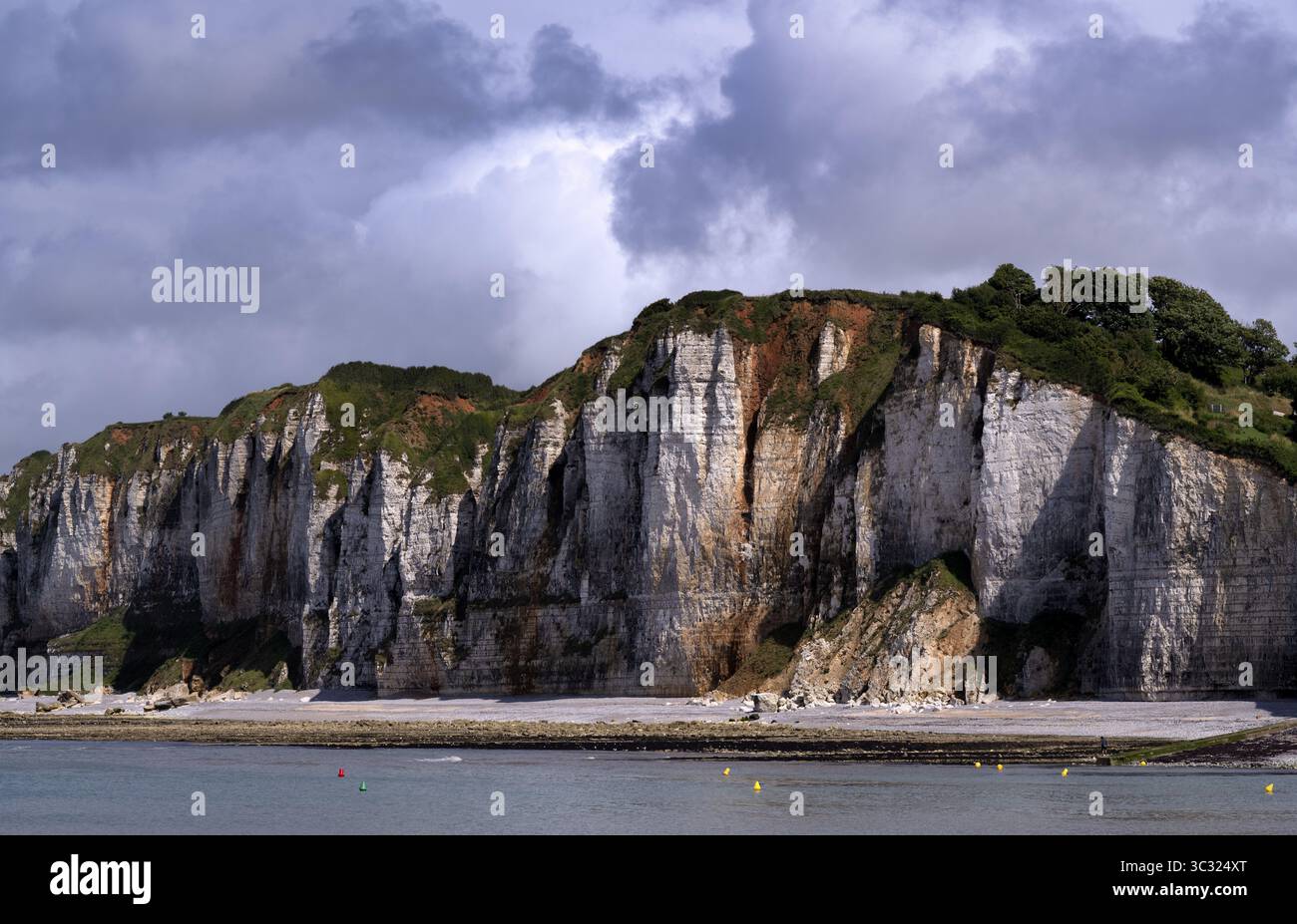 Falaise, falaises, paysage côtier, formation rocheuse, Yport, falaises de craie, côte d'albâtre, la Cote d'Albatre, Normandie, Seine-maritime, France Banque D'Images