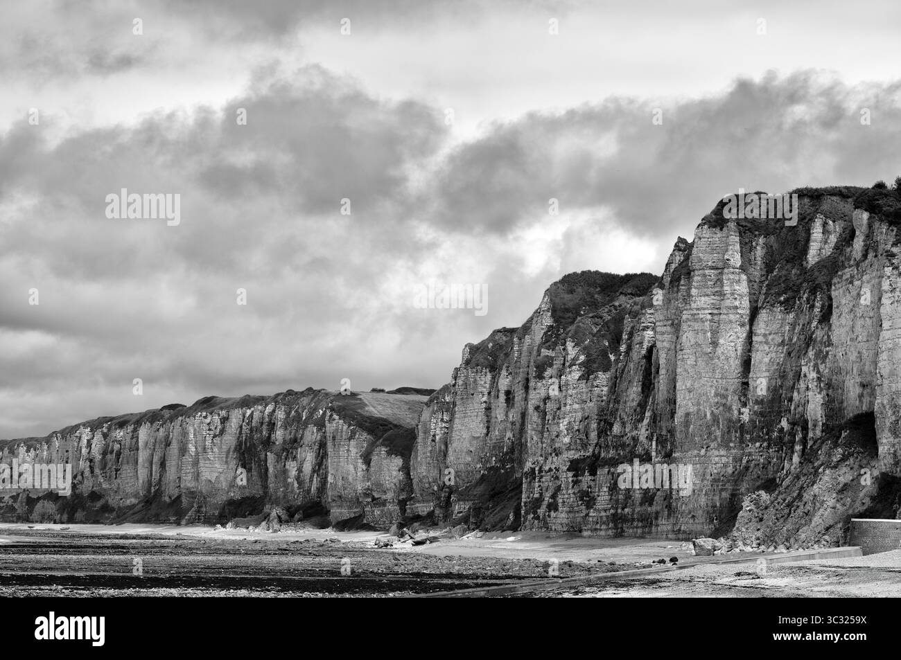 Falaise, falaises, paysage côtier, formation rocheuse, noir et blanc, Yport, falaises de craie, côte d'albâtre, la Côte d'Albatre, Normandie, Seine-maritime Banque D'Images