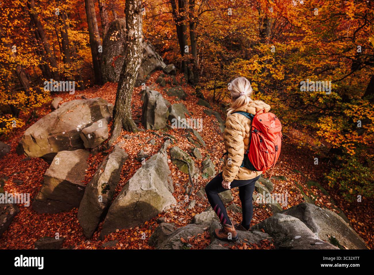 Touriste féminine avec sac à dos rouge explorant la région sauvage. Femme randonnée parmi les formations rocheuses dans la forêt d'automne dynamique Banque D'Images