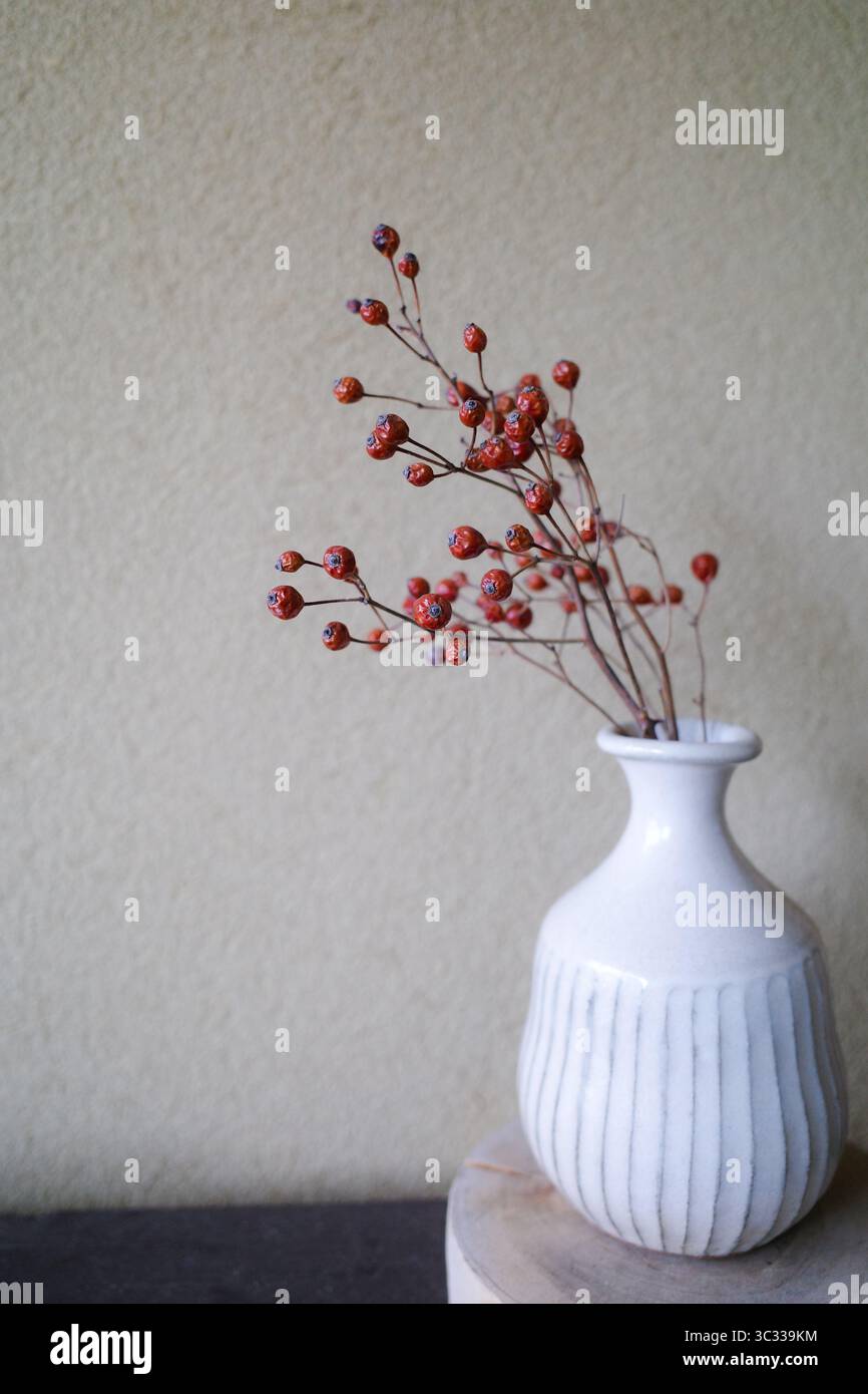 Un simple et élégant de baies rouges séchées dans un vase en céramique blanche. Banque D'Images